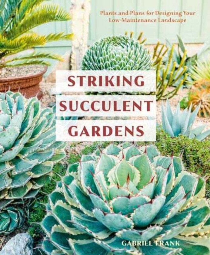 Striking Succulent Gardens av Gabriel Frank
