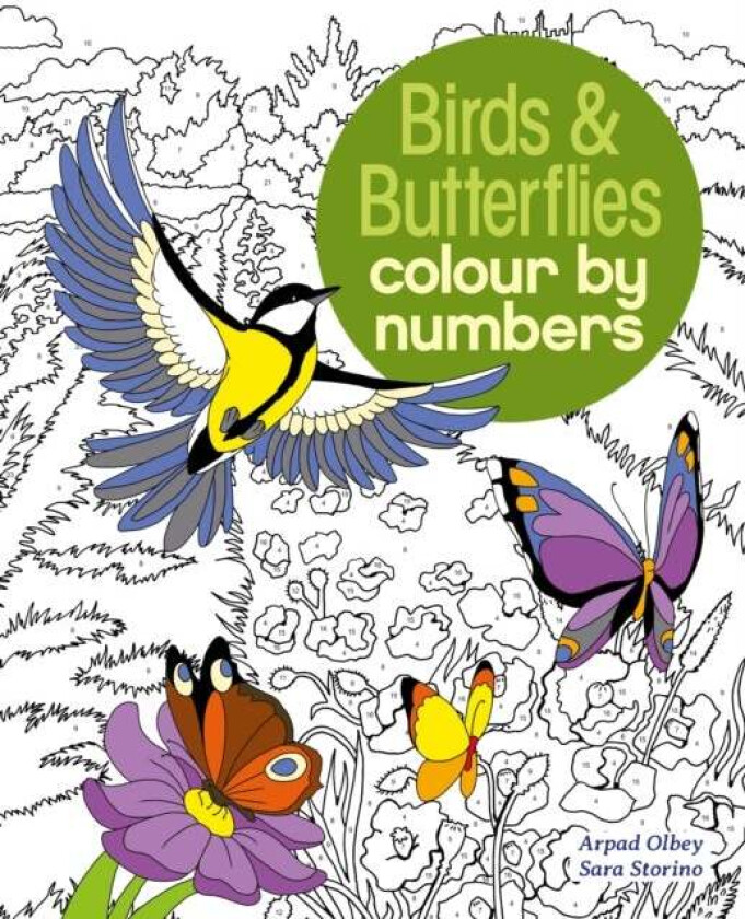 Birds & Butterflies Colour by Numbers av Sara (Illustrator) Storino, Arpad (Illustrator) Olbey
