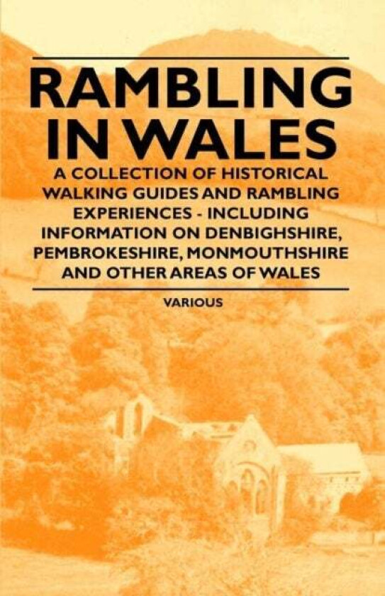 Rambling in Wales - A Collection of Historical Walking Guides and Rambling Experiences - Including I av Various