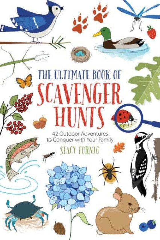 The Ultimate Book of Scavenger Hunts av Stacy Tornio