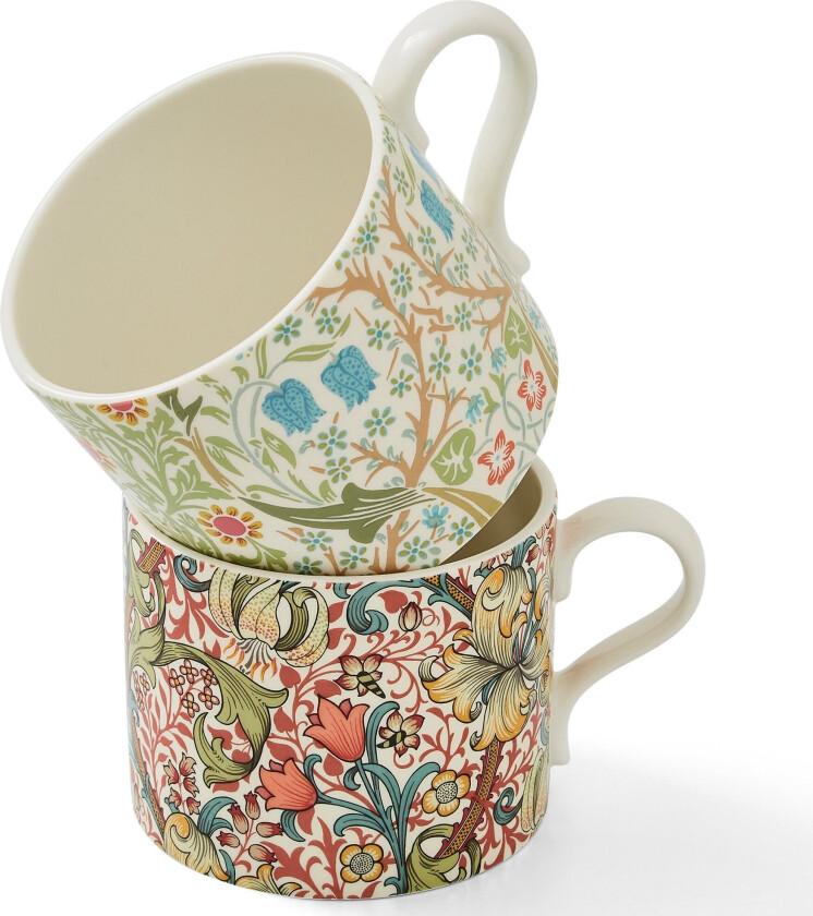 The Original Morris Blackthorn & Golden Lily Krus 2-pk.