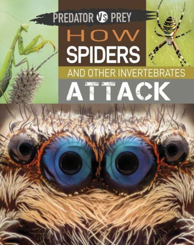 Predator vs Prey: How Spiders and other Invertebrates Attack av Tim Harris