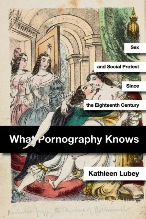 What Pornography Knows av Kathleen Lubey