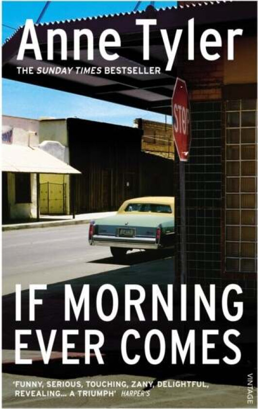 If Morning Ever Comes av Anne Tyler