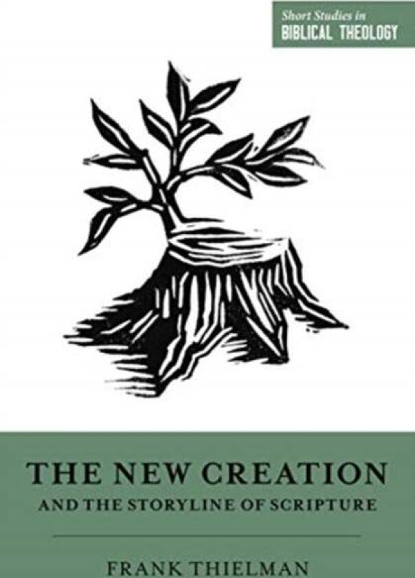 The New Creation and the Storyline of Scripture av Frank Thielman