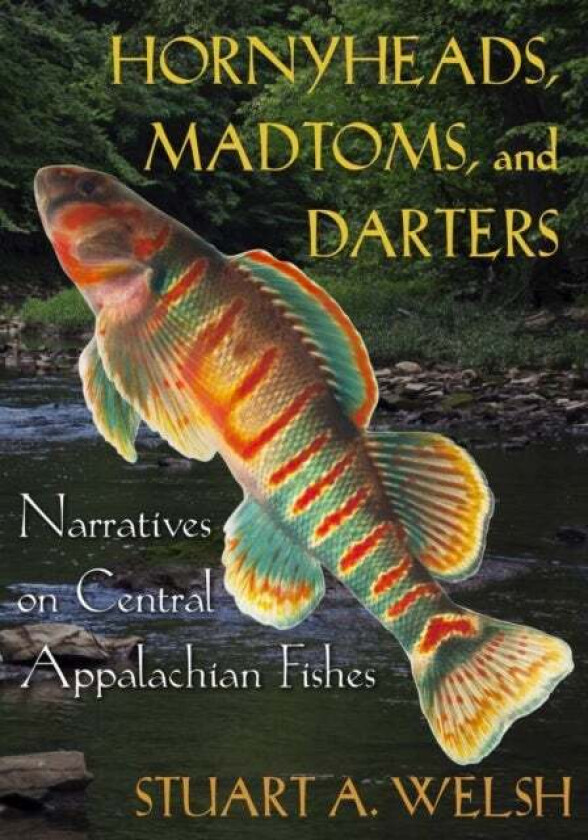 Hornyheads, Madtoms, and Darters av Stuart A. Welsh