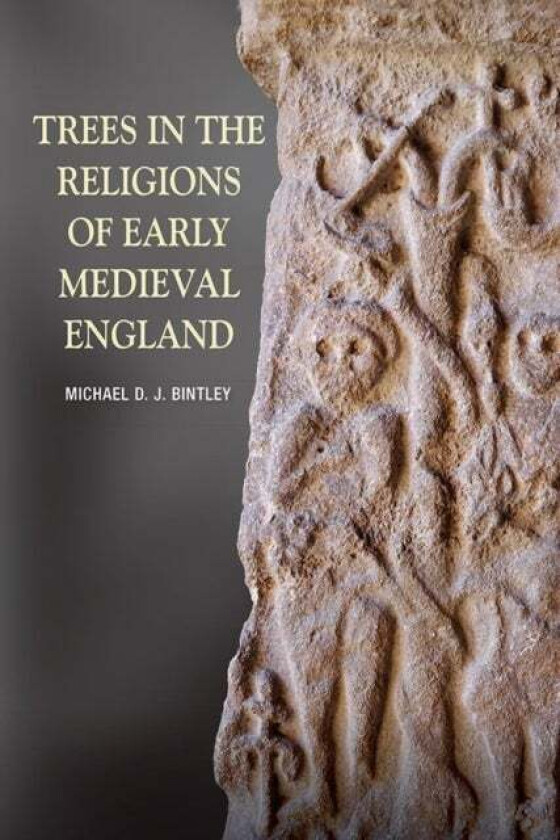 Trees in the Religions of Early Medieval England av Michael (Royalty Account) Bintley