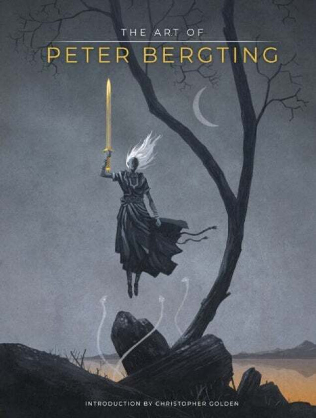 The Art Of Peter Bergting av Peter Bergting