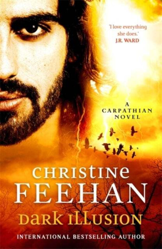 Dark Illusion av Christine Feehan