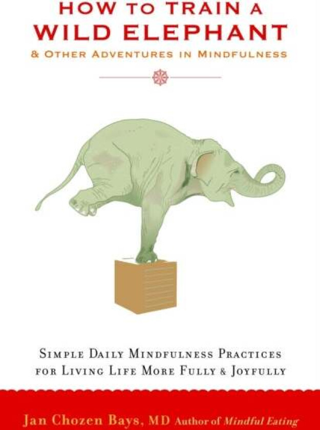 How to Train a Wild Elephant av Jan Chozen Bays