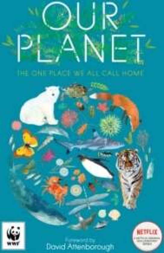 Our Planet av Matt Whyman