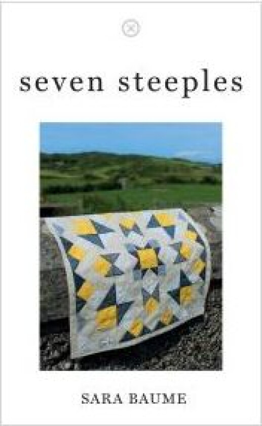Seven Steeples av Sara Baume