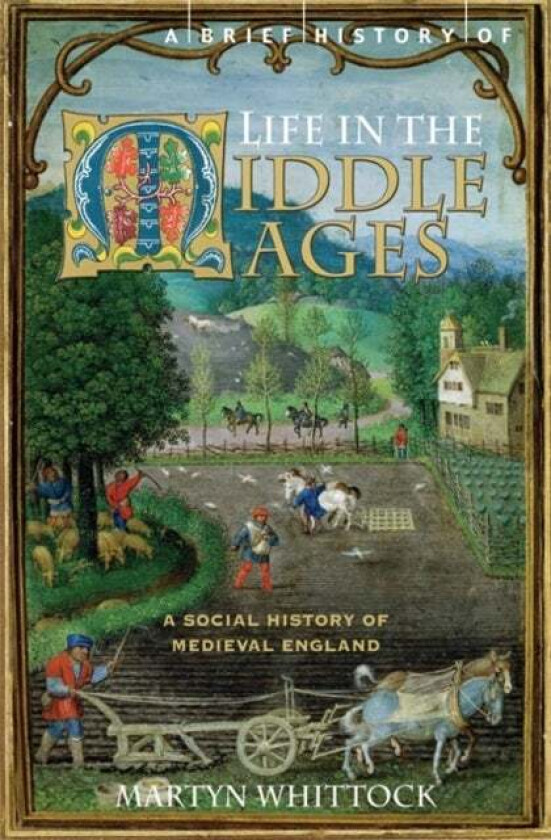 A Brief History of Life in the Middle Ages av Martyn Whittock