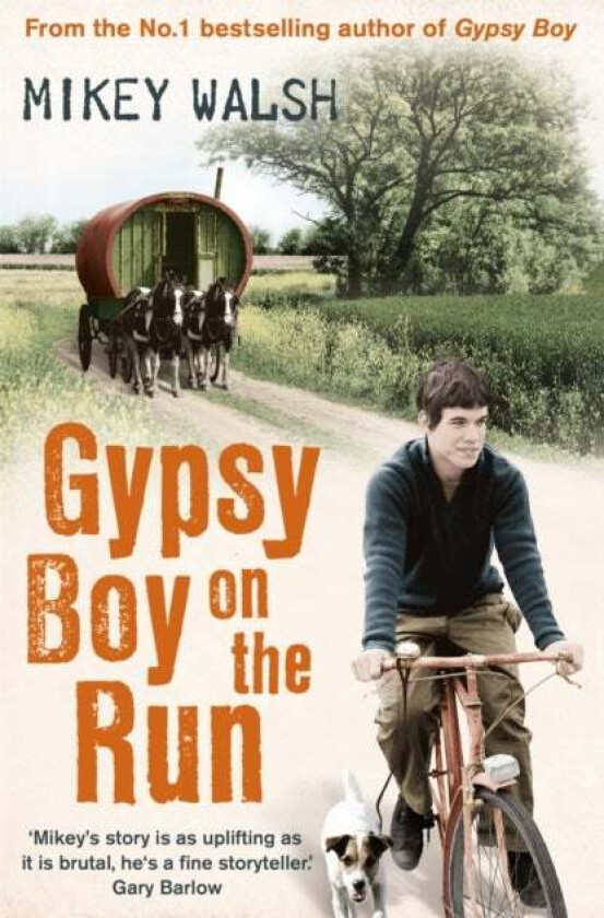 Gypsy Boy on the Run av Mikey Walsh