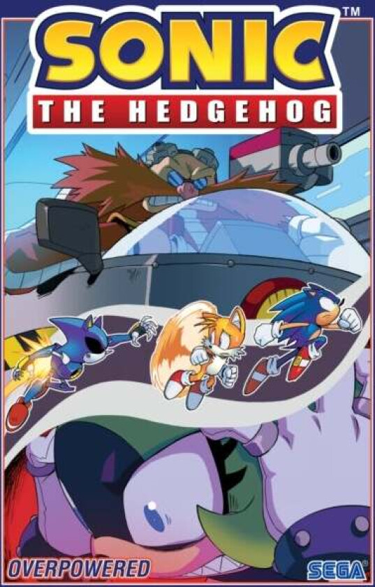 Sonic The Hedgehog, Vol. 14: Overpowered Av Evan Stanley