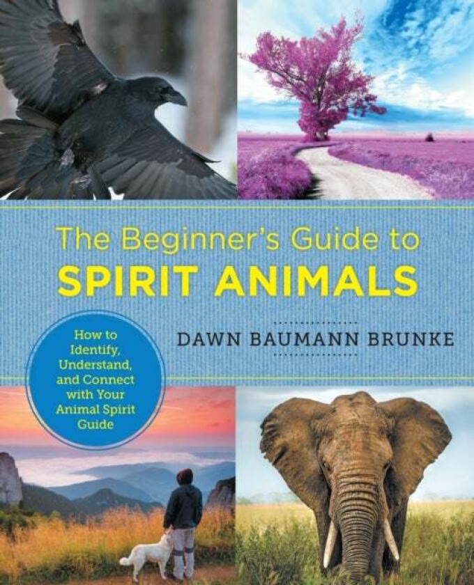 The Beginner's Guide to Spirit Animals av Dawn Baumann Brunke