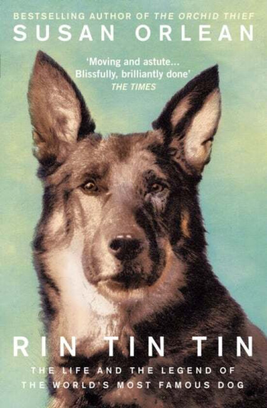 Rin Tin Tin av Susan Orlean