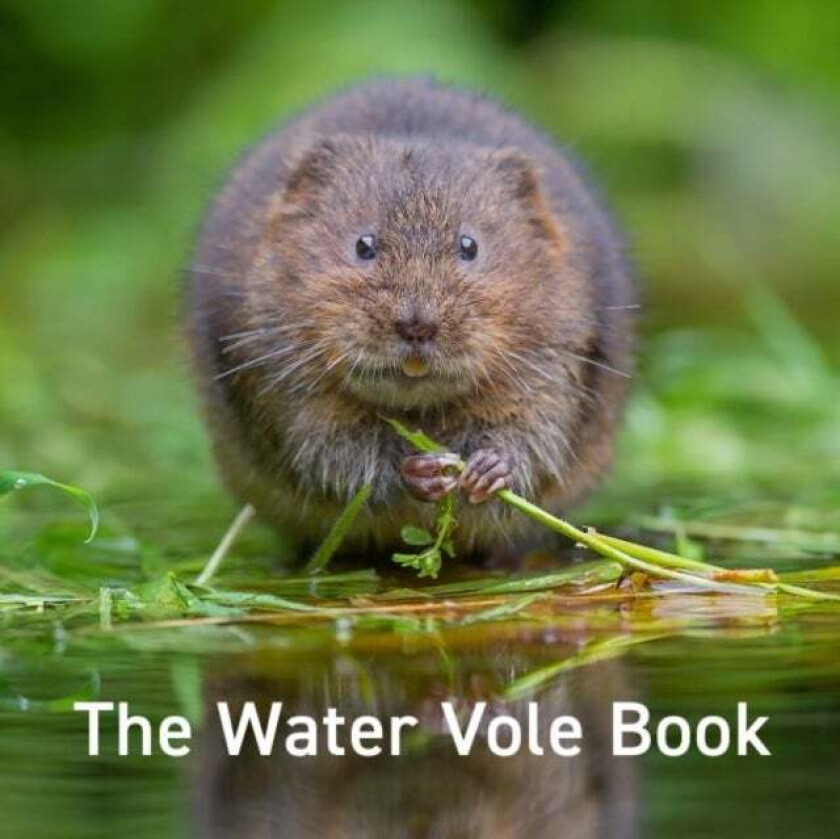 Water Vole Book, The av Hugh Warwick