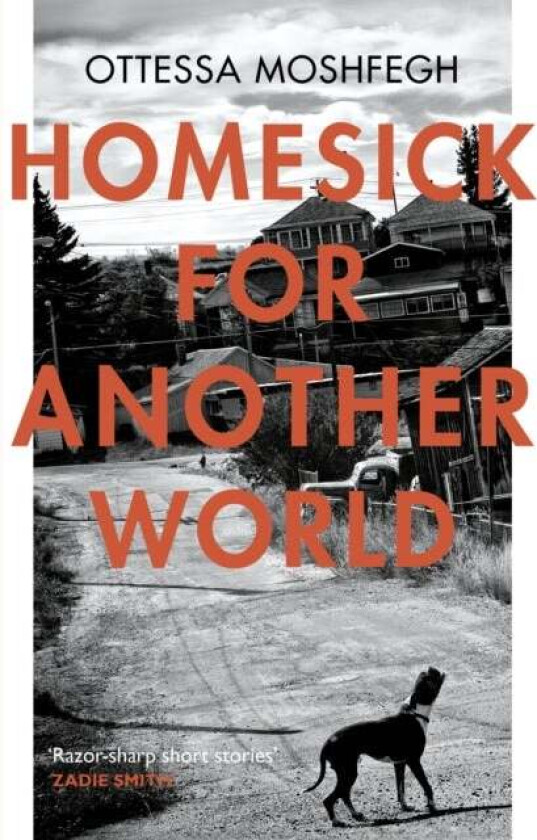 Homesick For Another World av Ottessa Moshfegh