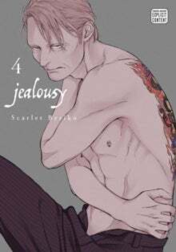 Jealousy, Vol. 4 av Scarlet Beriko