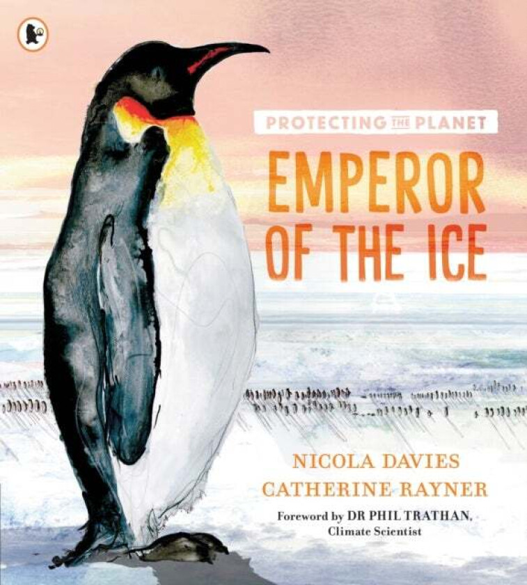 Protecting the Planet: Emperor of the Ice av Nicola Davies