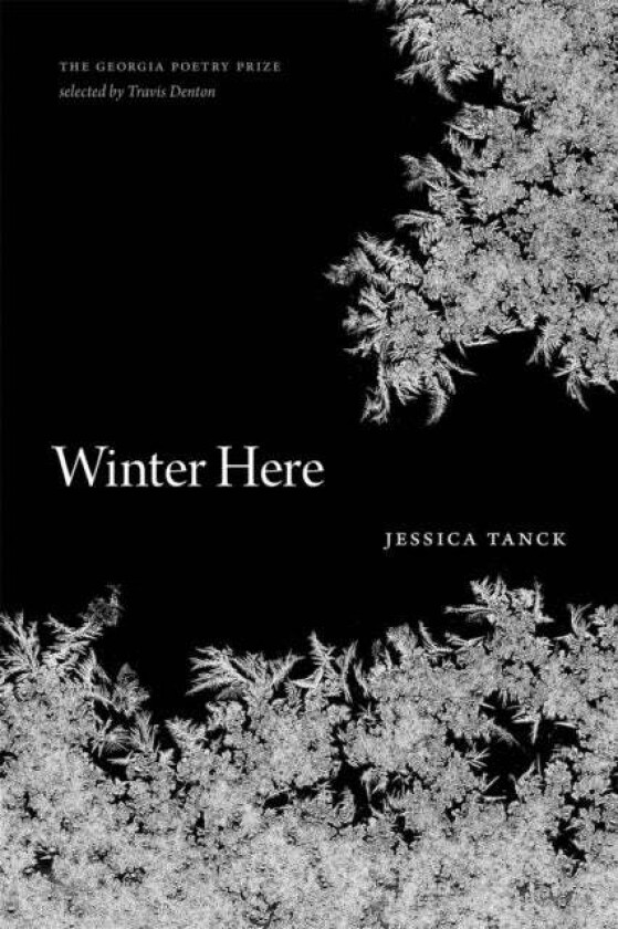 Winter Here av Jessica Tanck, Travis Denton