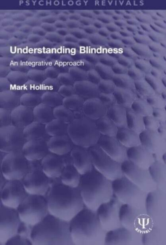 Understanding Blindness av Mark Hollins