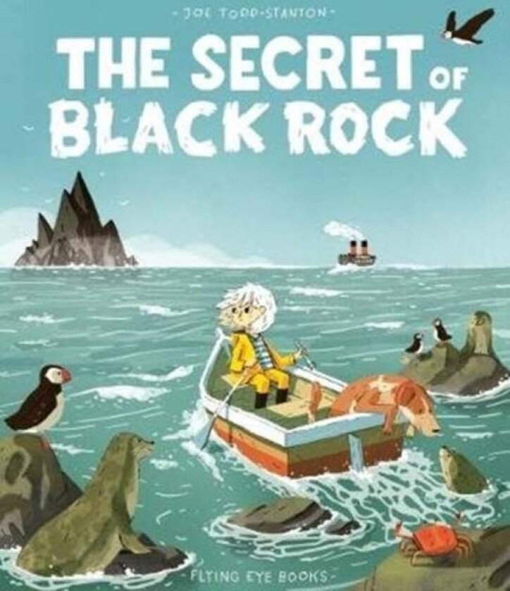 The Secret of Black Rock av Joe Todd-Stanton
