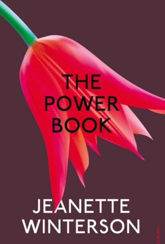 The Powerbook av Jeanette Winterson