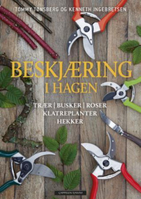 Beskjæring i hagen av Kenneth Tønsberg Tommy Ingebretsen