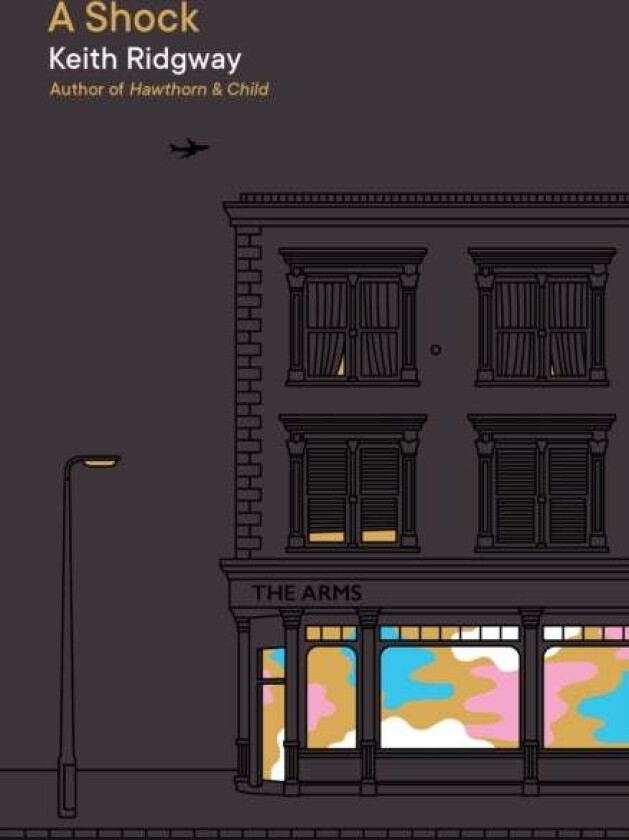A Shock av Keith Ridgway
