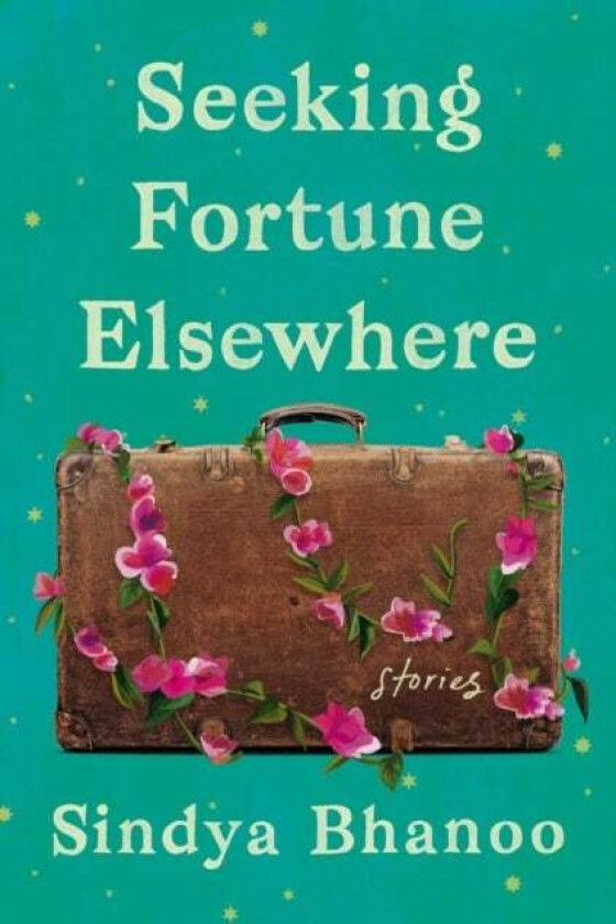 Seeking Fortune Elsewhere av Sindya Bhanoo