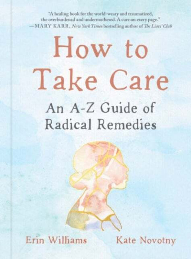How to Take Care av Erin (Erin Williams) Williams, Kate (Kate Novotny) Novotny