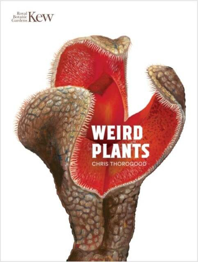 Weird Plants av Chris Thorogood