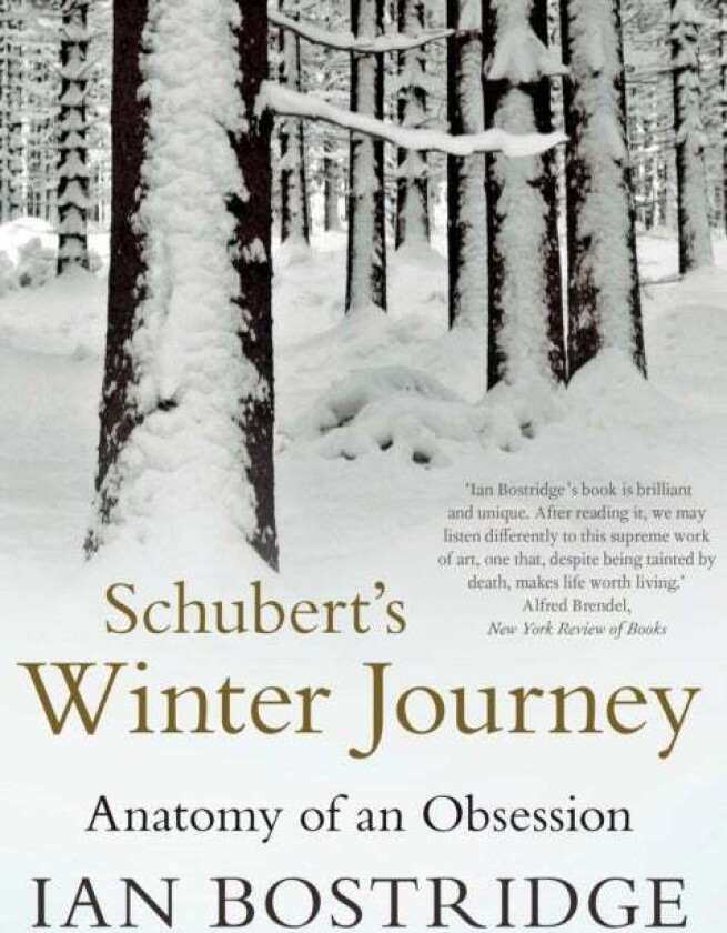 Schubert's Winter Journey av Dr Ian CBE (Author) Bostridge