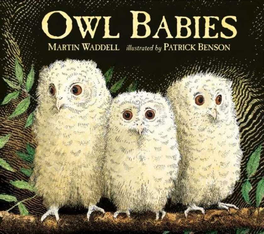 Owl Babies av Martin Waddell