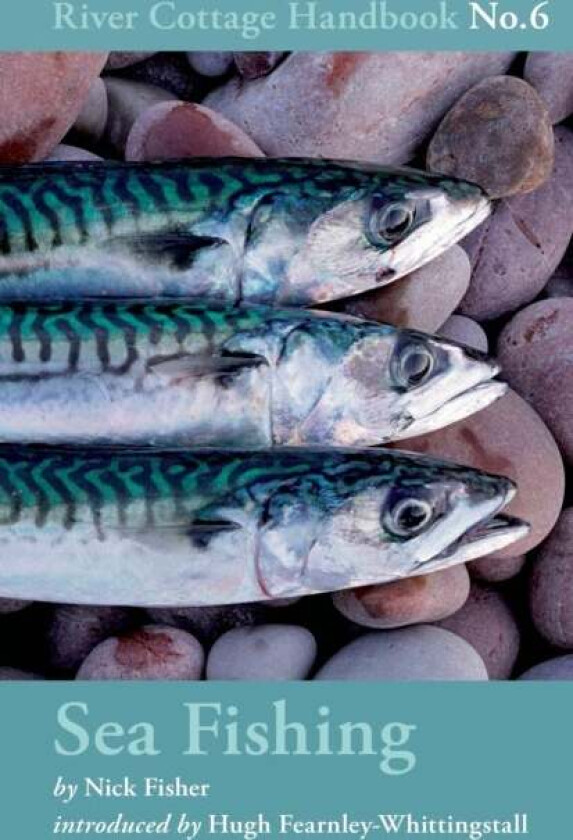 Sea Fishing av Nick Fisher