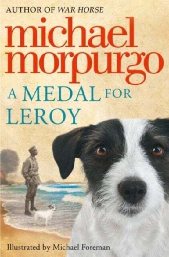 A Medal for Leroy av Michael Morpurgo
