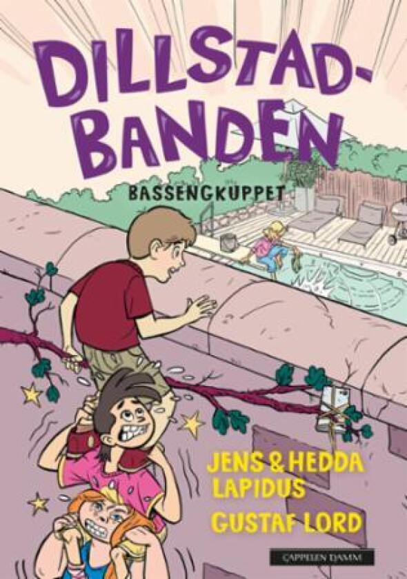 Bassengkuppet av Hedda Lapidus, Jens Lapidus