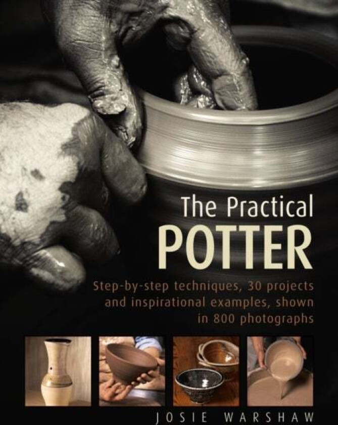 The Practical Potter av Josie Warshaw