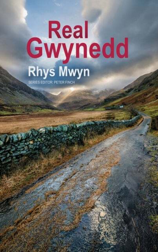 Real Gwynedd av Rhys Mwyn