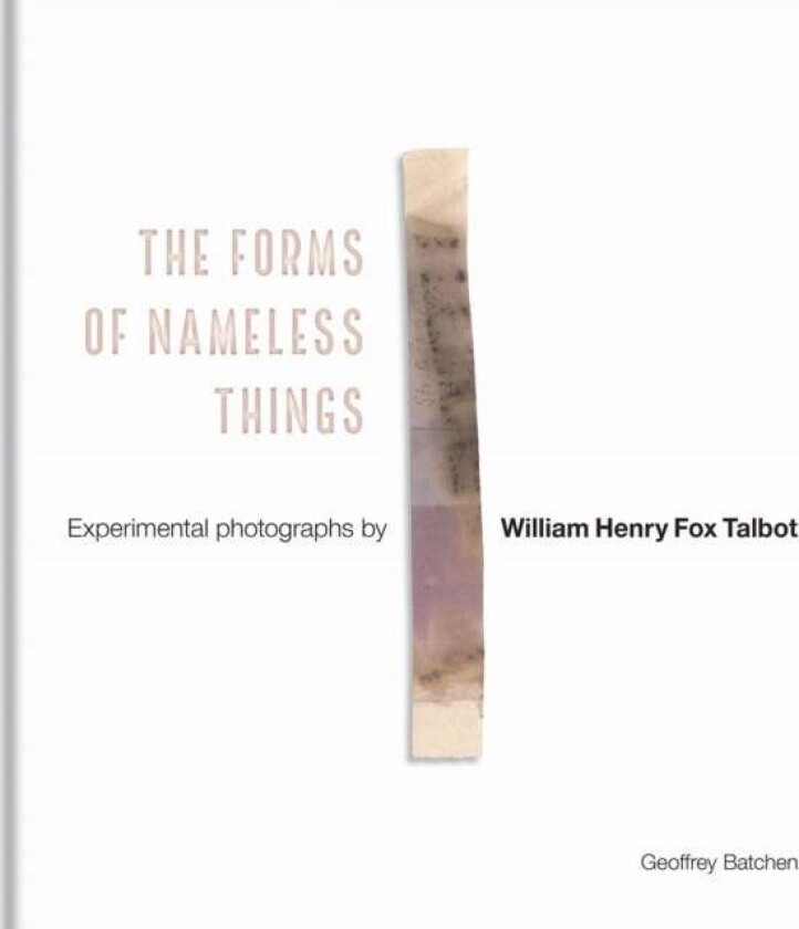 The Forms of Nameless Things av Geoffrey Batchen