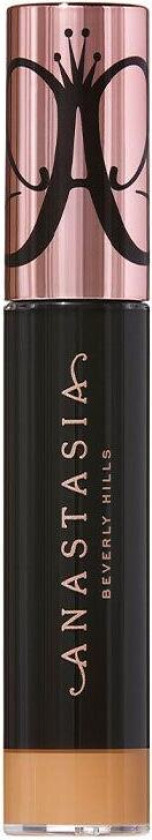 Magic Touch Concealer 17