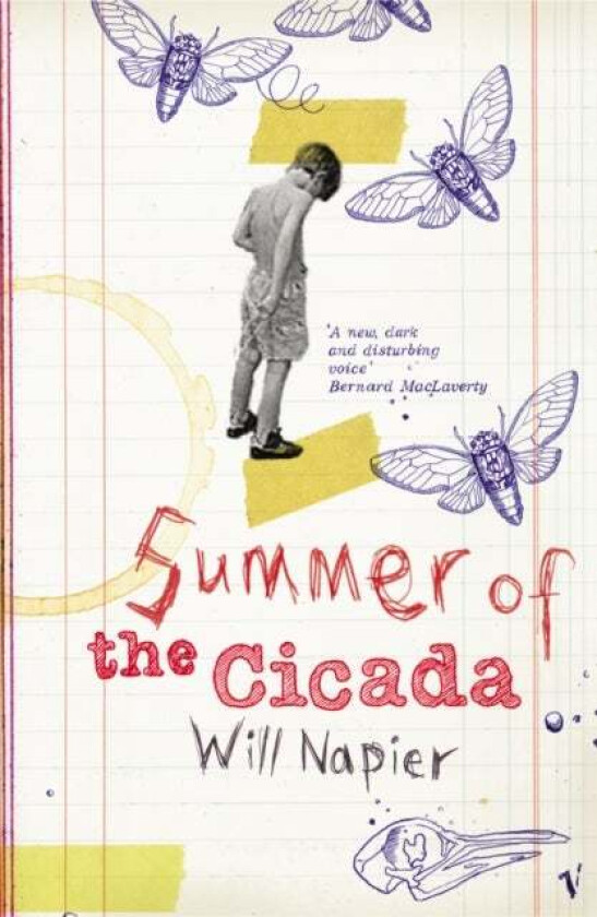 Summer Of The Cicada av Will Napier