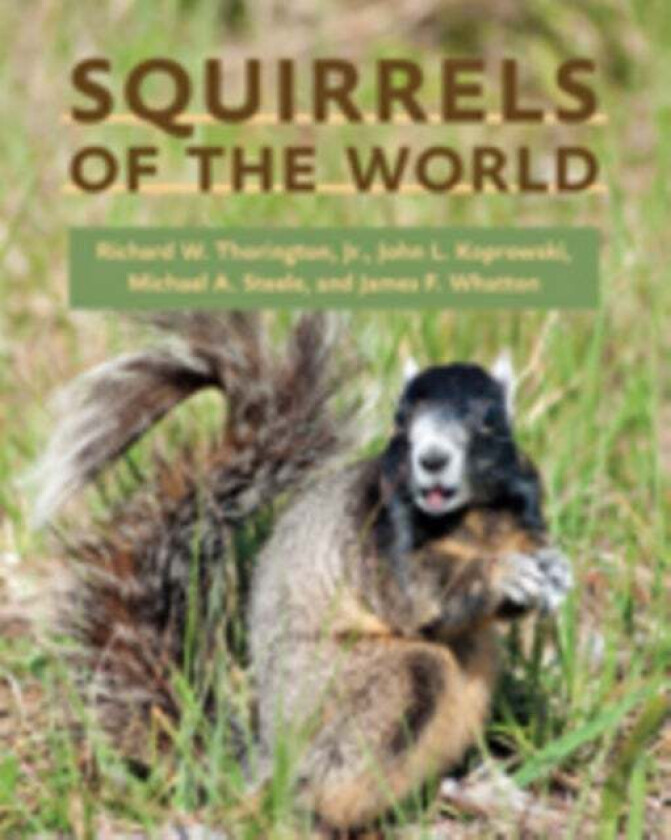 Squirrels of the World av Richard W. Jr. (Curator Smithsonian Institution) Thorington, John L. (School of Natural Resources) Koprowski, Michael A. (Wi