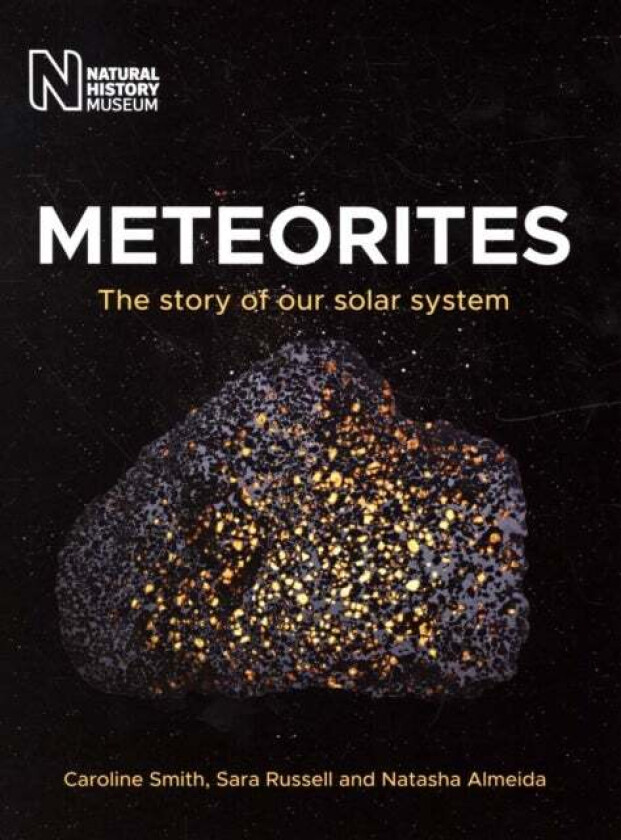 Meteorites av Caroline Smith, Sara Russell, Natasha Almeida