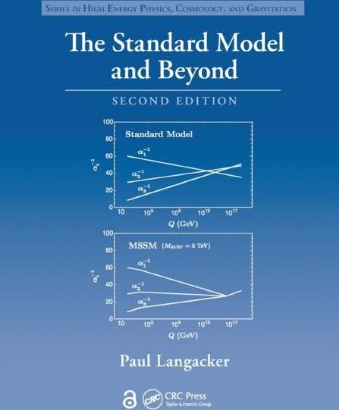The Standard Model and Beyond av Paul (Institute for Advanced Study Princeton New Jersey USA) Langacker