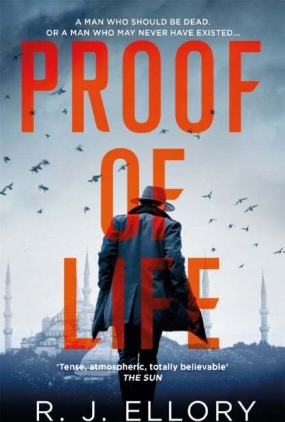 Proof of Life av R.J. Ellory