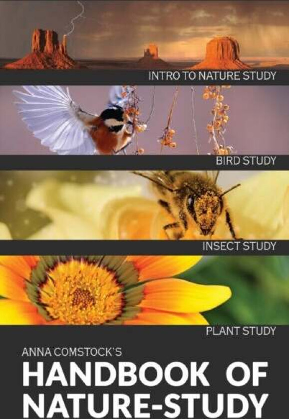 The Handbook Of Nature Study in Color - Introduction av Anna B Comstock