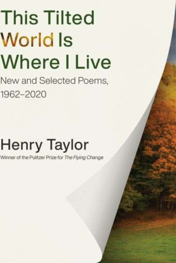 This Tilted World Is Where I Live av Henry Taylor